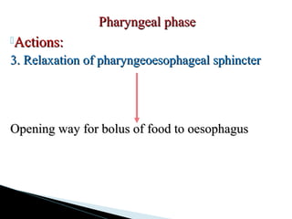 Actions:Actions:
3. Relaxation of pharyngeoesophageal sphincter3. Relaxation of pharyngeoesophageal sphincter
Opening way for bolus of food to oesophagusOpening way for bolus of food to oesophagus
Pharyngeal phasePharyngeal phase
 