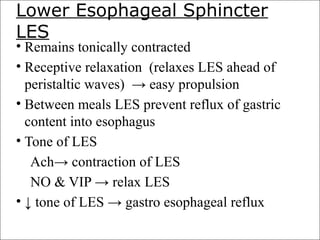 Lower Esophageal Sphincter
LES
• Remains tonically contracted
• Receptive relaxation (relaxes LES ahead of
peristaltic waves) → easy propulsion
• Between meals LES prevent reflux of gastric
content into esophagus
• Tone of LES
Ach→ contraction of LES
NO & VIP → relax LES
• ↓ tone of LES → gastro esophageal reflux
 