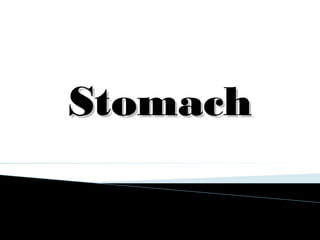 StomachStomach
 