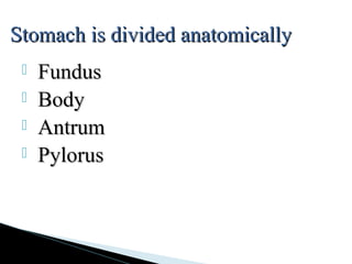  FundusFundus
 BodyBody
 AntrumAntrum
 PylorusPylorus
Stomach is divided anatomicallyStomach is divided anatomically
 