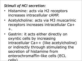 Stimuli of HCl secretion:
• Histamine: acts via H2 receptors
increases intracellular cAMP.
• Acetylcholine: acts via M3 muscarinic
receptors increases intracellular Ca+
+.
• Gastrin: it acts either directly on
oxyntic cells by increasing
intracellular Ca++ (like acetylcholine)
or indirectly through stimulating the
secretion of histamine from
enterochromaffin-like cells (ECL
 