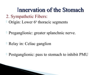 Innervation of the Stomachnnervation of the Stomach
2. Sympathetic Fibers:
 Origin: Lower 6th
thoracic segments
 Preganglionic: greater splanchnic nerve.
 Relay in: Celiac ganglion
 Postganglionic: pass to stomach to inhibit PMU
 