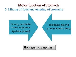 Motor function of stomachMotor function of stomach
2. Mixing of food and empting of stomach:
Strong peristaltic
wave at pylorus
(pyloric pump)
Toniccontractionof
pyloricsphincter
Slow gastric emptingSlow gastric empting
 