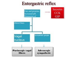 Entergastric reflexEntergastric reflex
Fats and proteins.
Increased pH.
Distension of
duodenum.
Afferent fibers
Vagal
nucleus
Sympathetic ganglia
Purinergic vagal
fibers
Adrenergic
sympathetic
Secretin
CCK
GIP
Secretin
CCK
GIP
 