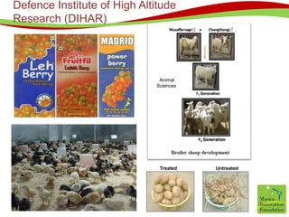 Less oxygen availability with dry humidity (20 to 47 %)