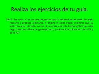 Realiza los ejercicios de tu guía.
19) En las ratas, C es un gen necesario para la formación del color. Su alelo
   recesivo c produce albinismo. R origina el color negro, mientras que su
   alelo recesivo r da color crema. Si se cruza una rata homocigótica de color
   negro con otra albina de genotipo ccrr, ¿cuál será la coloración de la F1 y
   de la F2?
 