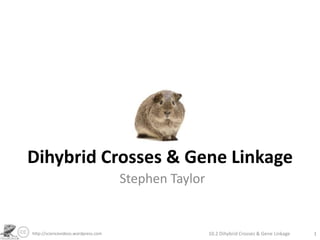 Dihybrid Crosses & Gene Linkage Stephen Taylor 10.2 Dihybrid Crosses & Gene Linkage 1 http://sciencevideos.wordpress.com 