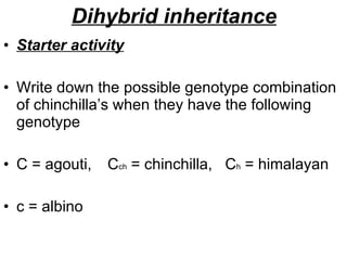 Dihybrid inheritance ,[object Object],[object Object],[object Object],[object Object]