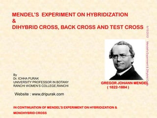 MENDEL’S EXPERIMENT ON HYBRIDIZATION
&
DIHYBRID CROSS, BACK CROSS AND TEST CROSS
By
Dr. ICHHA PURAK
UNIVERSITY PROFESSOR IN BOTANY
RANCHI WOMEN’S COLLEGE,RANCHI
Website : www,dripurak.com
6/15/2013Mendel'sExperiment&DihybridCross
GREGOR JOHANN MENDEL
( 1822-1884 )
IN CONTINUATION OF MENDEL’S EXPERIMENT ON HYBRIDIZATION &
MONOHYBRID CROSS
1
 