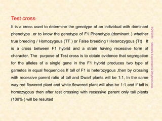 Test cross:
It is a cross used to determine the genotype of an individual with dominant
phenotype or to know the genotype of F1 Phenotype (dominant ) whether
true breeding / Homozygous (TT ) or False breeding / Heterozygous (Tt) It
is a cross between F1 hybrid and a strain having recessive form of
character. The purpose of Test cross is to obtain evidence that segregation
for the alleles of a single gene in the F1 hybrid produces two type of
gametes in equal frequencies If tall of F1 is heterozygous ,then by crossing
with recessive parent ratio of tall and Dwarf plants will be 1:1, In the same
way red flowered plant and white flowered plant will also be 1:1 and if tall is
homozygous then after test crossing with recessive parent only tall plants
(100% ) will be resulted
5/29/2014
18
Mendel'sExperiment&DihybridCross
 