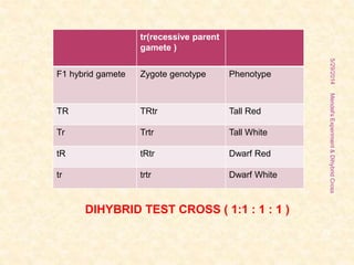 tr(recessive parent
gamete )
F1 hybrid gamete Zygote genotype Phenotype
TR TRtr Tall Red
Tr Trtr Tall White
tR tRtr Dwarf Red
tr trtr Dwarf White
DIHYBRID TEST CROSS ( 1:1 : 1 : 1 )
5/29/2014
23
Mendel'sExperiment&DihybridCross
 