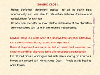 5/29/2014Mendel'sExperiment&DihybridCross
3
DIHYBRID CROSS
Dihybrid cross is a cross when at a time two traits and their alternative
forms are considered during hybridization experiment.
Steps of Experiment are same as that of monohybrid cross,but two
characters and their alternative forms are considered simultaneously
For Dihybrid cross Homozygous Tall male plants bearing red ( purple )
flowers are crossed with Homozygous Dwarf female plants bearing
white flowers
Mendel performed Monohybrid crosses for all the seven traits
independently and was able to differentiate between dominate and
recessive form for each trait.
He was then interested to know whether inheritance of two characters
are influenced by each other or are inherited independently.
 