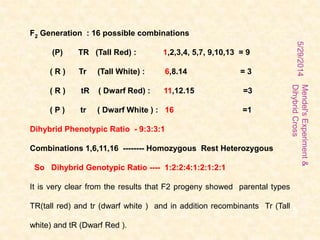 5/29/2014
Mendel'sExperiment&
DihybridCross
5
F2 Generation : 16 possible combinations
(P) TR (Tall Red) : 1,2,3,4, 5,7, 9,10,13 = 9
( R ) Tr (Tall White) : 6,8.14 = 3
( R ) tR ( Dwarf Red) : 11,12.15 =3
( P ) tr ( Dwarf White ) : 16 =1
Dihybrid Phenotypic Ratio - 9:3:3:1
Combinations 1,6,11,16 -------- Homozygous Rest Heterozygous
So Dihybrid Genotypic Ratio ---- 1:2:2:4:1:2:1:2:1
It is very clear from the results that F2 progeny showed parental types
TR(tall red) and tr (dwarf white ) and in addition recombinants Tr (Tall
white) and tR (Dwarf Red ).
 