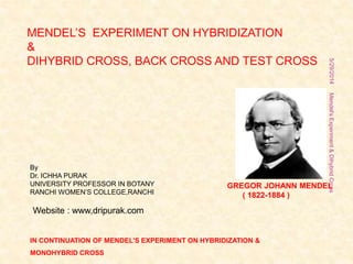 MENDEL’S EXPERIMENT ON HYBRIDIZATION
&
DIHYBRID CROSS, BACK CROSS AND TEST CROSS
By
Dr. ICHHA PURAK
UNIVERSITY PROFESSOR IN BOTANY
RANCHI WOMEN’S COLLEGE,RANCHI
Website : www,dripurak.com
5/29/2014Mendel'sExperiment&DihybridCross
GREGOR JOHANN MENDEL
( 1822-1884 )
IN CONTINUATION OF MENDEL’S EXPERIMENT ON HYBRIDIZATION &
MONOHYBRID CROSS
1
 