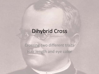 Dihybrid Cross
Crossing two different traits
Hair length and eye color
 