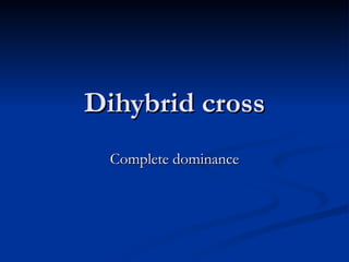 Dihybrid cross Complete dominance 