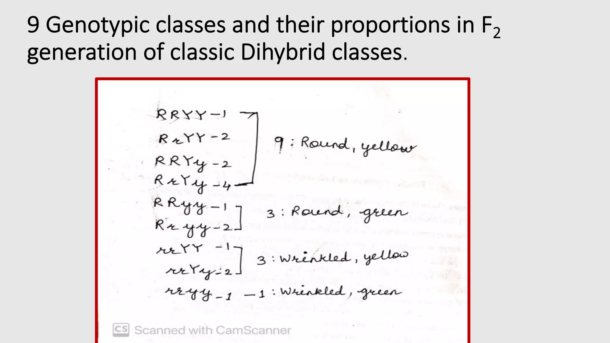 9 Genotypic classes and their proportions in F2
generation of classic Dihybrid classes.
 