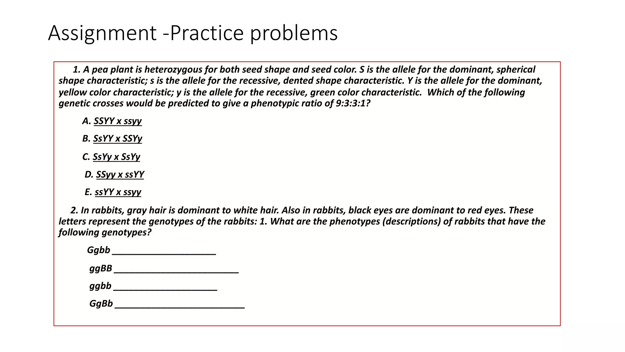 Assignment -Practice problems
1. A pea plant is heterozygous for both seed shape and seed color. S is the allele for the dominant, spherical
shape characteristic; s is the allele for the recessive, dented shape characteristic. Y is the allele for the dominant,
yellow color characteristic; y is the allele for the recessive, green color characteristic. Which of the following
genetic crosses would be predicted to give a phenotypic ratio of 9:3:3:1?
A. SSYY x ssyy
B. SsYY x SSYy
C. SsYy x SsYy
D. SSyy x ssYY
E. ssYY x ssyy
2. In rabbits, gray hair is dominant to white hair. Also in rabbits, black eyes are dominant to red eyes. These
letters represent the genotypes of the rabbits: 1. What are the phenotypes (descriptions) of rabbits that have the
following genotypes?
Ggbb ____________________
ggBB ________________________
ggbb ____________________
GgBb _________________________
 