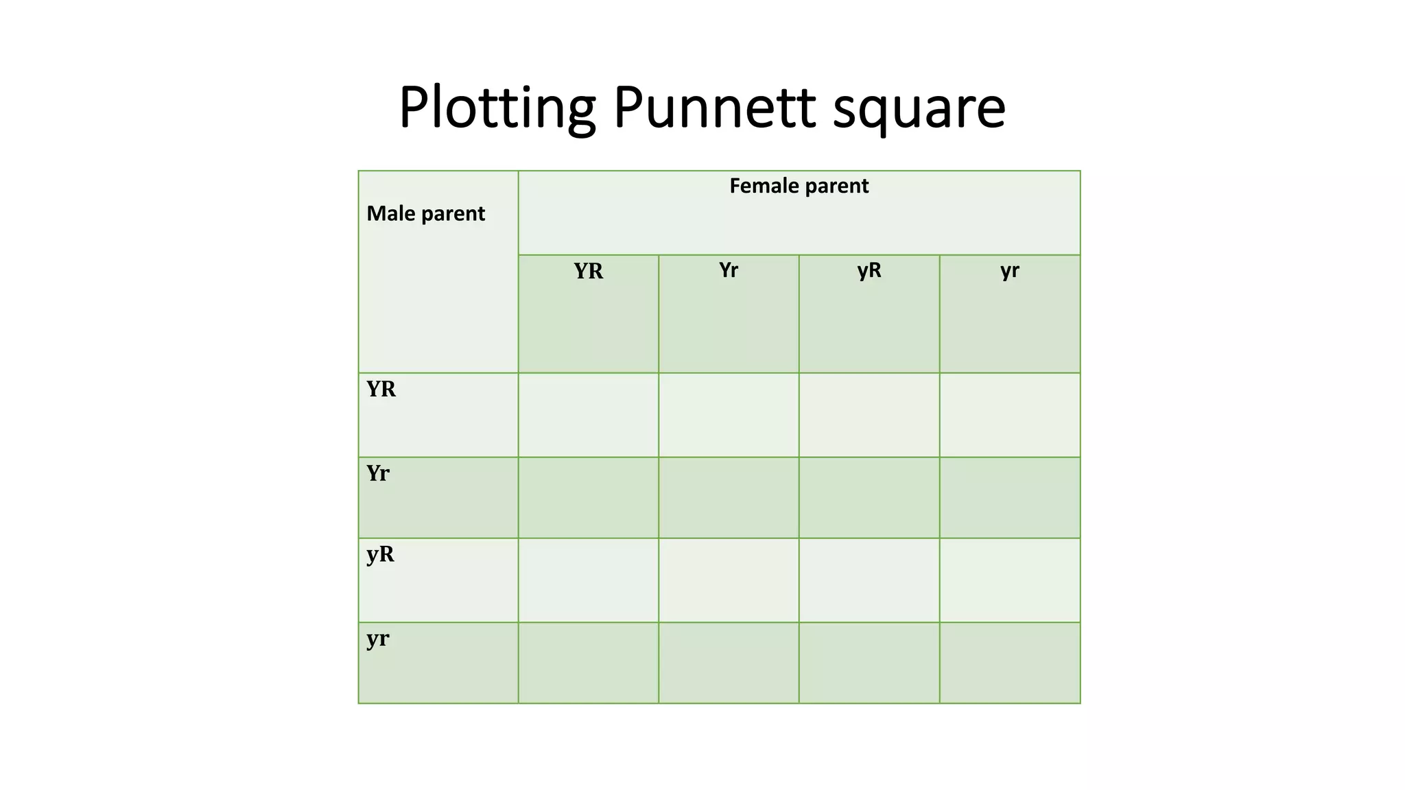 Plotting Punnett square
Male parent
Female parent
YR Yr yR yr
YR
Yr
yR
yr
 