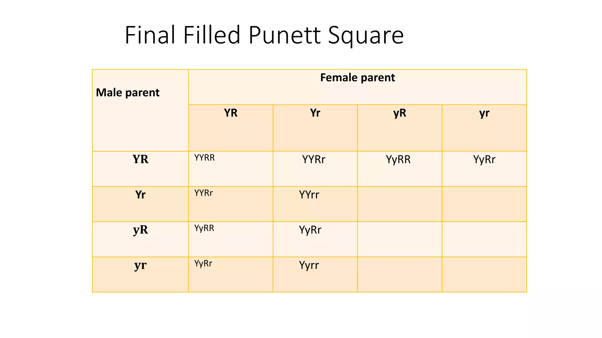 Final Filled Punett Square
Male parent
Female parent
YR Yr yR yr
YR YYRR YYRr YyRR YyRr
Yr YYRr YYrr
yR YyRR YyRr
yr YyRr Yyrr
 