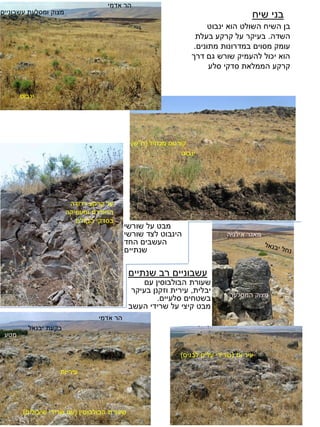 מאגר אילניה 
שעורת הבולבוסין )עם שרידי שיבולים( 
מצוק ומסלעת עשבוניים 
ינבוט 
קורטם מכחיל )ח"ש( 
ינבוט 
עיריות 
עיריות 
עיריות )שרידי עלים לבנים( 
הר אדמי 
בקעת יבנאל 
הר אדמי 
מטע 
בני שיח 
בן השיח השולט הוא ינבוט 
השדה. בעיקר על קרקע בעלת 
עומק מסוים במדרונות מתונים. 
הוא יכול להעמיק שורש גם דרך 
קרקע הממלאת סדקי סלע 
מבט על שורשי 
הינבוט לצד שורשי 
העשבים החד 
שנתיים 
על קרקע רדודה 
החודרת ומעמיקה 
בסדקי הבזלת 
עשבוניים רב שנתיים 
שעורת הבולבוסין עם 
יבלית, עירית וזקנן בעיקר 
בשטחים סלעיים. 
מבט קיצי על שרידי העשב 
מצוק המסלעה 
 