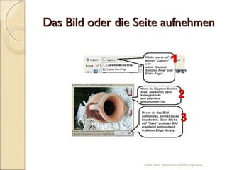 Das Bild oder die Seite aufnehmen




                   Arna Sabic, Bosnien und Herzegowina
 