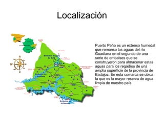 Localización


         Puerto Peña es un extenso humedal
         que remansa las aguas del río
         Guadiana en el s...