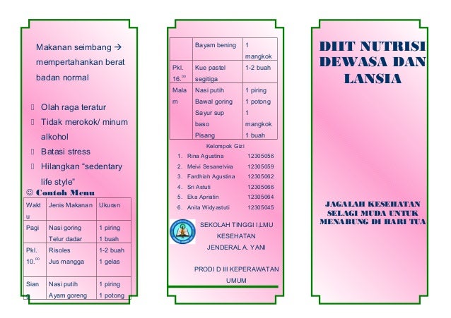 Diit nutrisi bagi lansia