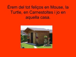 Érem del tot feliços en Mouse, la Turtle, en Carnestoltes i jo en aquella casa.