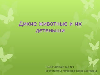 Дикие животные и их
детеныши
ГБДОУ детский сад №1
Воспитатель: Матюхова Елена Сергеевна
 