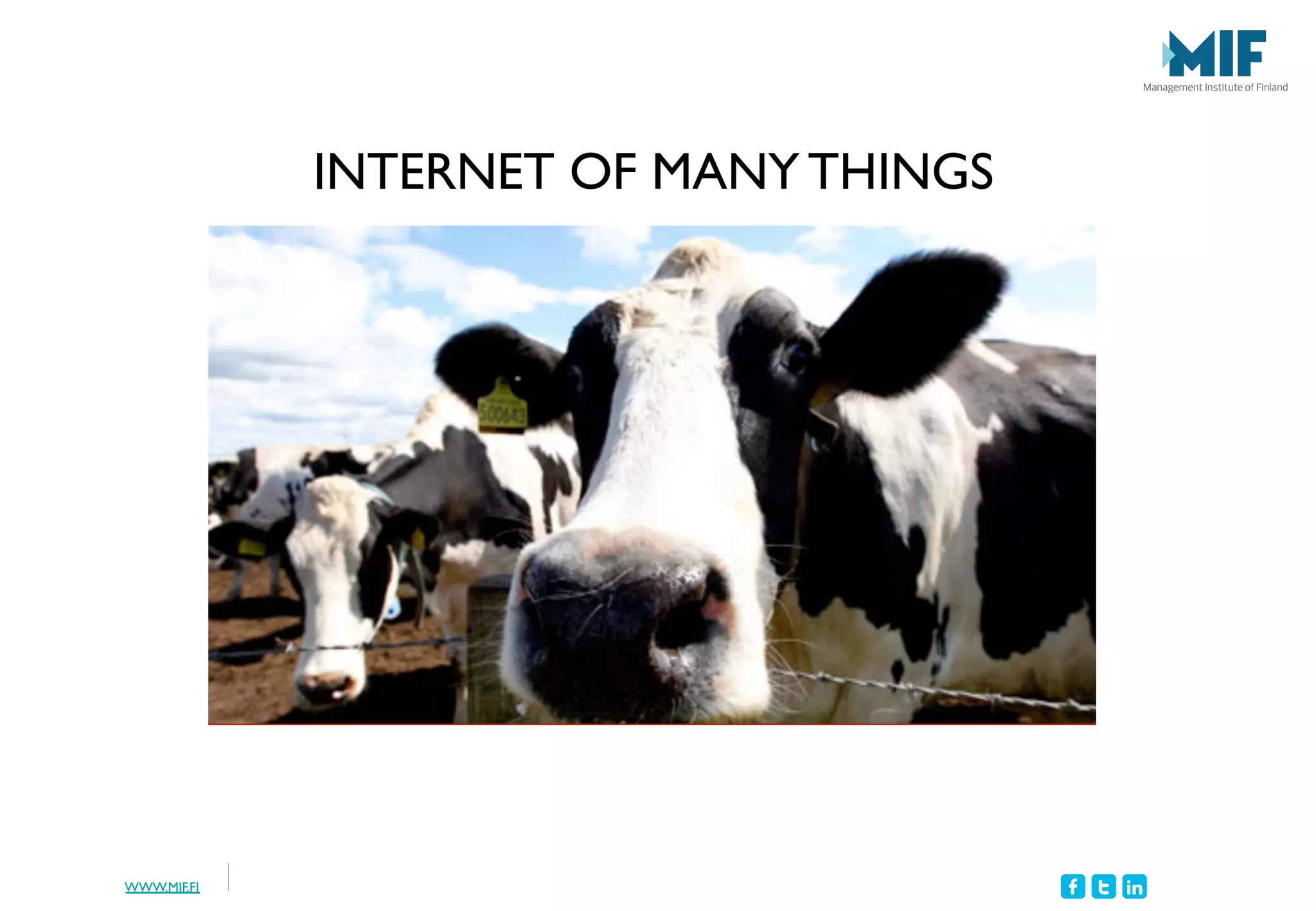 WWW.MIF.FI
INTERNET OF MANY THINGS
 