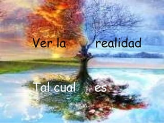 Ver la  realidad Tal cual   es 