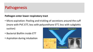 Pathogen enter lower respiratory tract
• Micro-aspiration: Pooling and trickling of secretions around the cuff
(more with PVC ETT, less with polyurethane ETT, less with subglottic
suction)
• Bacterial Biofilm inside ETT
• Aspiration during intubation
Pathogenesis
 