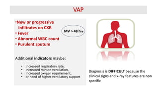 VAP
•New or progressive
infiltrates on CXR
• Fever
• Abnormal WBC count
• Purulent sputum
Additional indicators maybe;
• Increased respiratory rate,
• Increased minute ventilation,
• Increased oxygen requirement,
• or need of higher ventilatory support
MV > 48 hrs
Diagnosis is DIFFICULT because the
clinical signs and x-ray features are non
specific
 