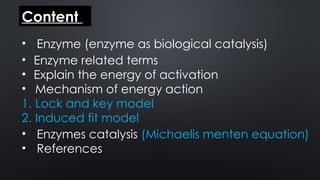 Diksha yadav MSc enzyme catalysis and study of enzymes | PPTX