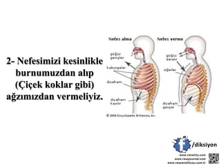 2- Nefesimizi kesinlikle
burnumuzdan alıp
(Çiçek koklar gibi)
ağzımızdan vermeliyiz.
 