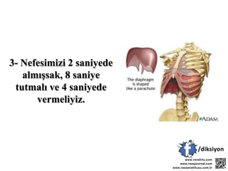 3- Nefesimizi 2 saniyede
almışsak, 8 saniye
tutmalı ve 4 saniyede
vermeliyiz.
 