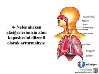 4- Nefes alırken
akciğerlerimizin alım
kapasitesini düzenli
olarak arttırmalıyız.
 