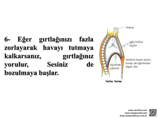 6- Eğer gırtlağınızı fazla
zorlayarak havayı tutmaya
kalkarsanız, gırtlağınız
yorulur, Sesiniz de
bozulmaya başlar.
 