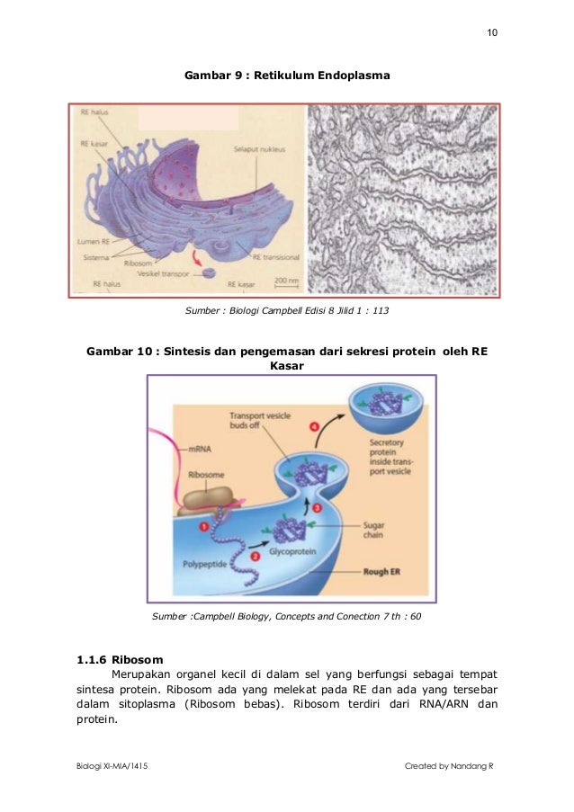 Diktat Sel 1415