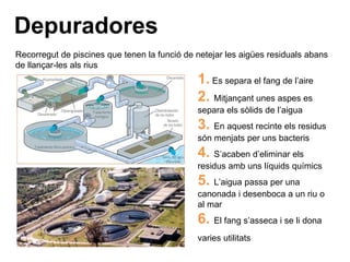 Depuradores
Recorregut de piscines que tenen la funció de netejar les aigües residuals abans
de llançar-les als rius
1. Es separa el fang de l’aire
2. Mitjançant unes aspes es
separa els sòlids de l’aigua
3. En aquest recinte els residus
són menjats per uns bacteris
4. S’acaben d’eliminar els
residus amb uns líquids químics
5. L’aigua passa per una
canonada i desenboca a un riu o
al mar
6. El fang s’asseca i se li dona
varies utilitats
 