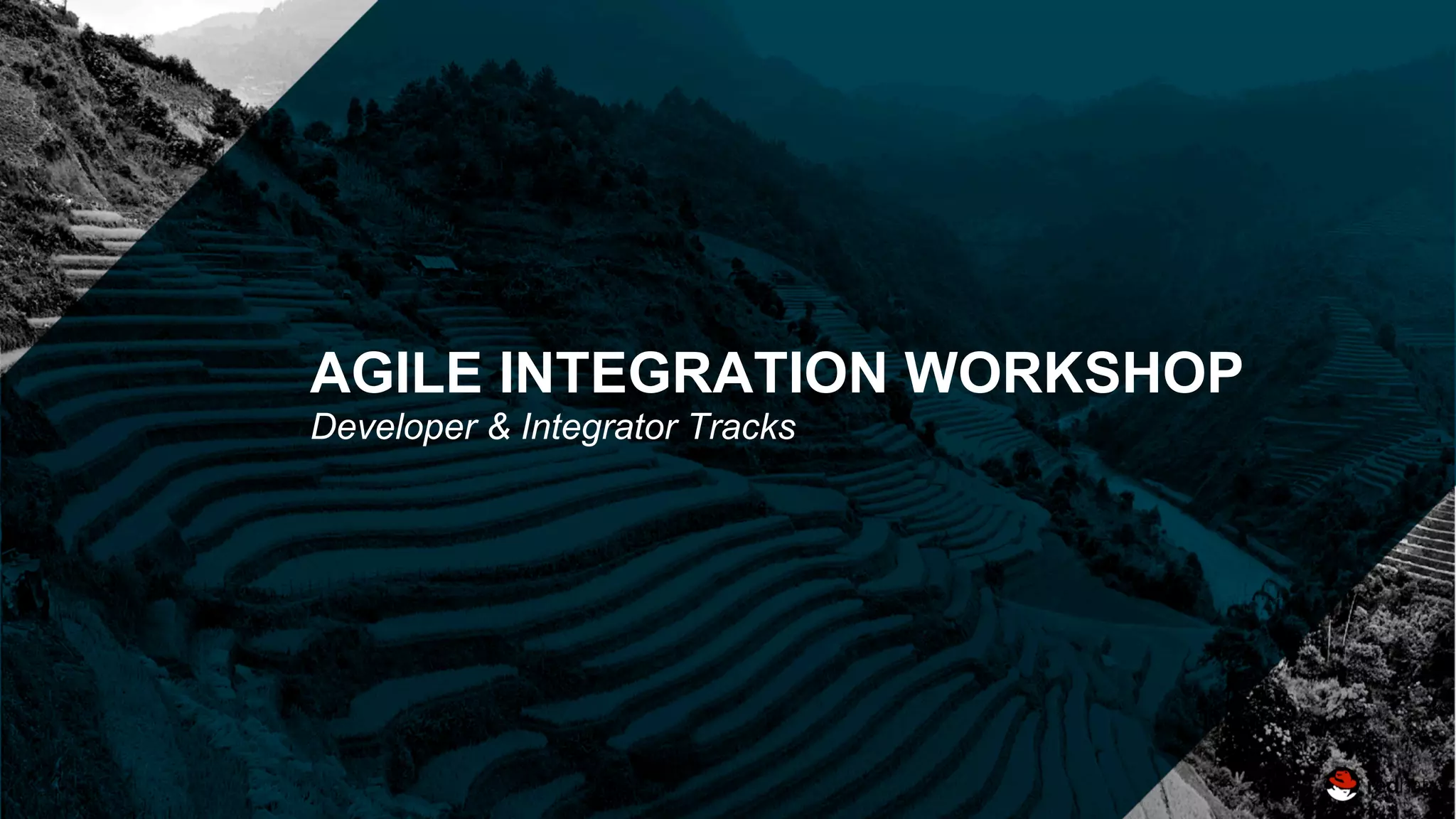 AGILE INTEGRATION WORKSHOP
Developer & Integrator Tracks
 