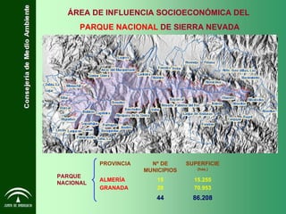 ÁREA DE INFLUENCIA SOCIOECONÓMICA DEL   PARQUE NACIONAL   DE SIERRA NEVADA PARQUE NACIONAL 86.208 15.255 70.953 SUPERFICIE  (has.) 44 15 29 ALMERÍA GRANADA Nº DE MUNICIPIOS PROVINCIA 