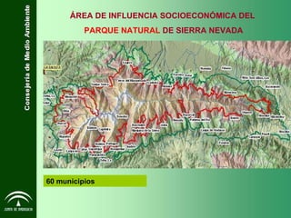 60 municipios ÁREA DE INFLUENCIA SOCIOECONÓMICA DEL PARQUE NATURAL   DE SIERRA NEVADA 