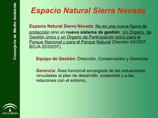 Espacio Natural Sierra Nevada :  No es una nueva figura de protección  sino un  nuevo sistema de gestión .  Un Órgano  de Gestión único y un Órgano de Participación único para el Parque Nacional y para el Parque Natural  (Decreto 24/2007, BOJA 02/02/07). Equipo de Gestión : Dirección, Conservación y Gerencia. Gerencia : Área funcional encargada de las actuaciones vinculadas al plan de desarrollo  sostenible y a las relaciones con el entorno.  Espacio Natural Sierra Nevada 