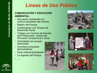 COMUNICACIÓN Y EDUCACIÓN AMBIENTAL: Educación ambiental con centros escolares del entorno Boletín del Parque Colaboración con Grupos de Desarrollo Rural. Trabajo con Centros de Estudio del Profesorado, centros de formación ocupacional y otros. Actividades por grupos sectoriales Inventario proyectos demostrativos Guía cultural participada La Agenda del Parque … . Líneas de Uso Público 