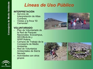 INTERPRETACIÓN Servicio de Interpretación de Altas Cumbres Visitas a la finca “El Camarate”. VOLUNTARIADO : -  Plan de Voluntariado de la Red de Parques  Nacionales: Ecocampus, SEO/BirdLife y  WWF/Adena  Campos de Trabajo de la Consejería de Medio Ambiente. Red de Voluntarios Ambientales de Sierra Nevada  Actividades con otros grupos Líneas de Uso Público 