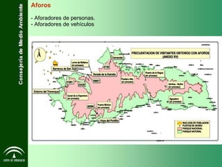 Aforos - Aforadores de personas. - Aforadores de vehículos 