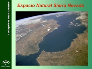 Espacio Natural Sierra Nevada 