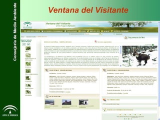 Ventana del Visitante 
